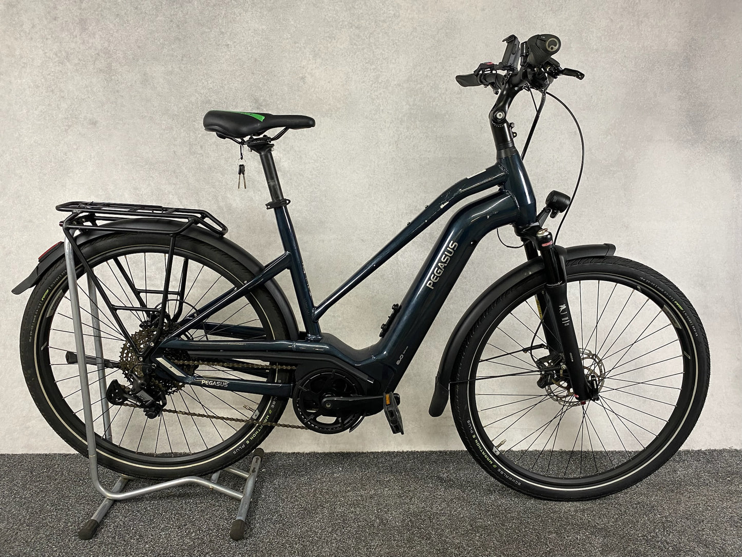 Pegasus Premio Evo 11 "40 Years"