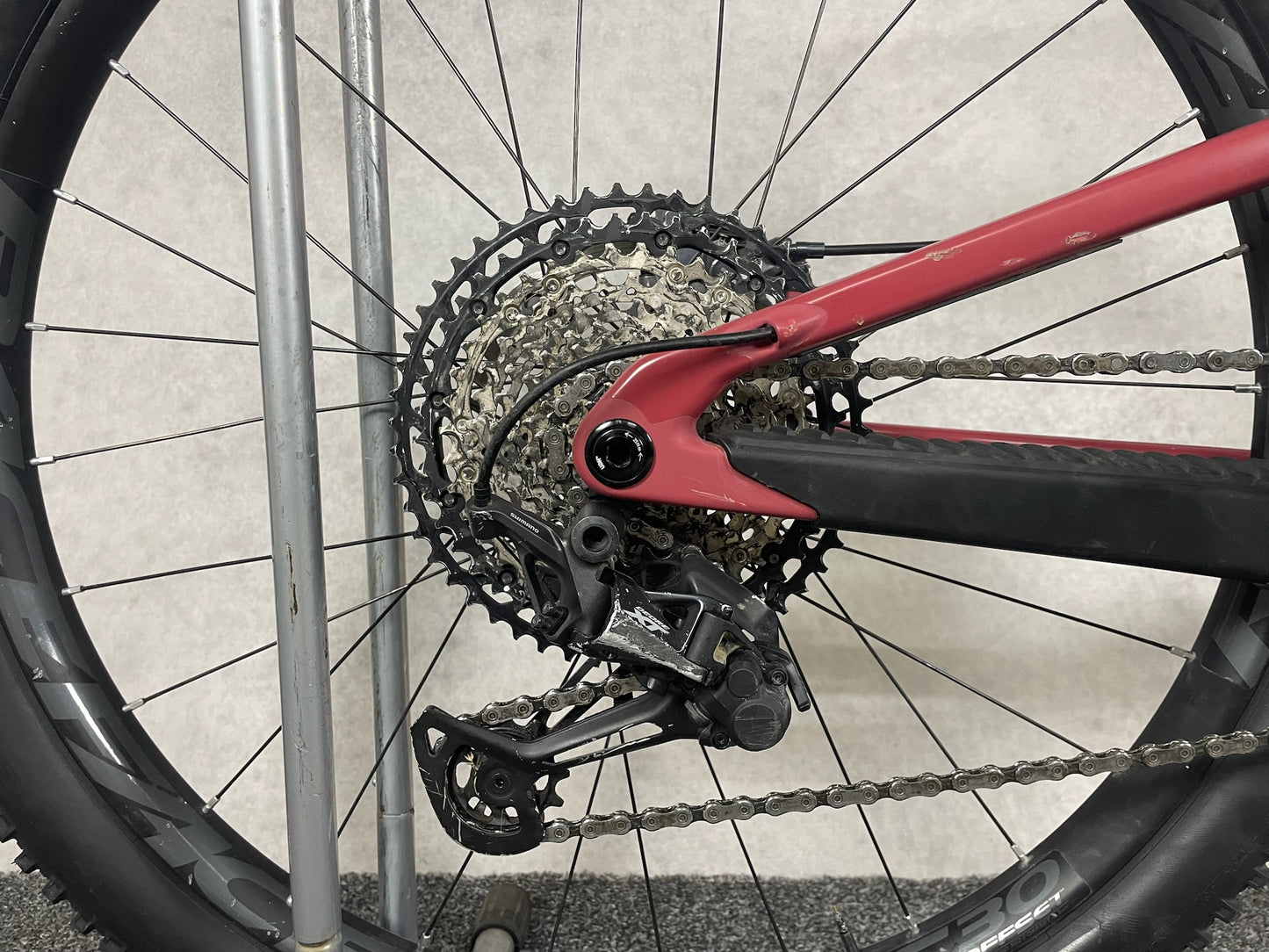 Santa Cruz 5010 C