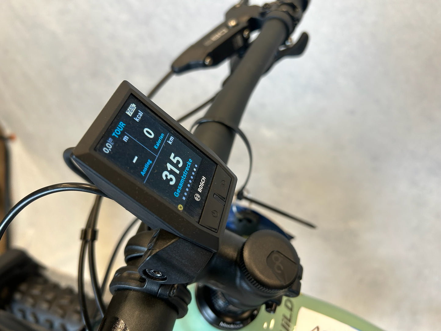 Orbea Wild FS H10