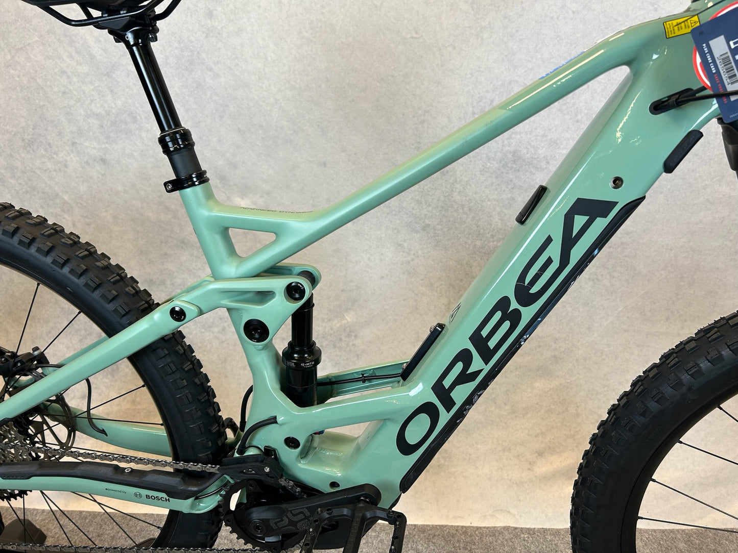 Orbea Wild FS H10