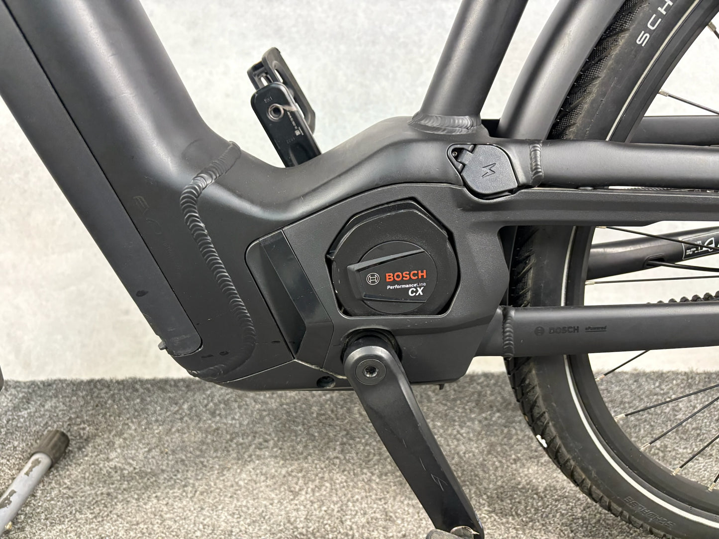 Pegasus Premio EVO 5F Lite Belt Comfort