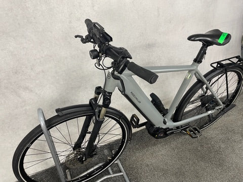 Riese & Müller Roadster vario
