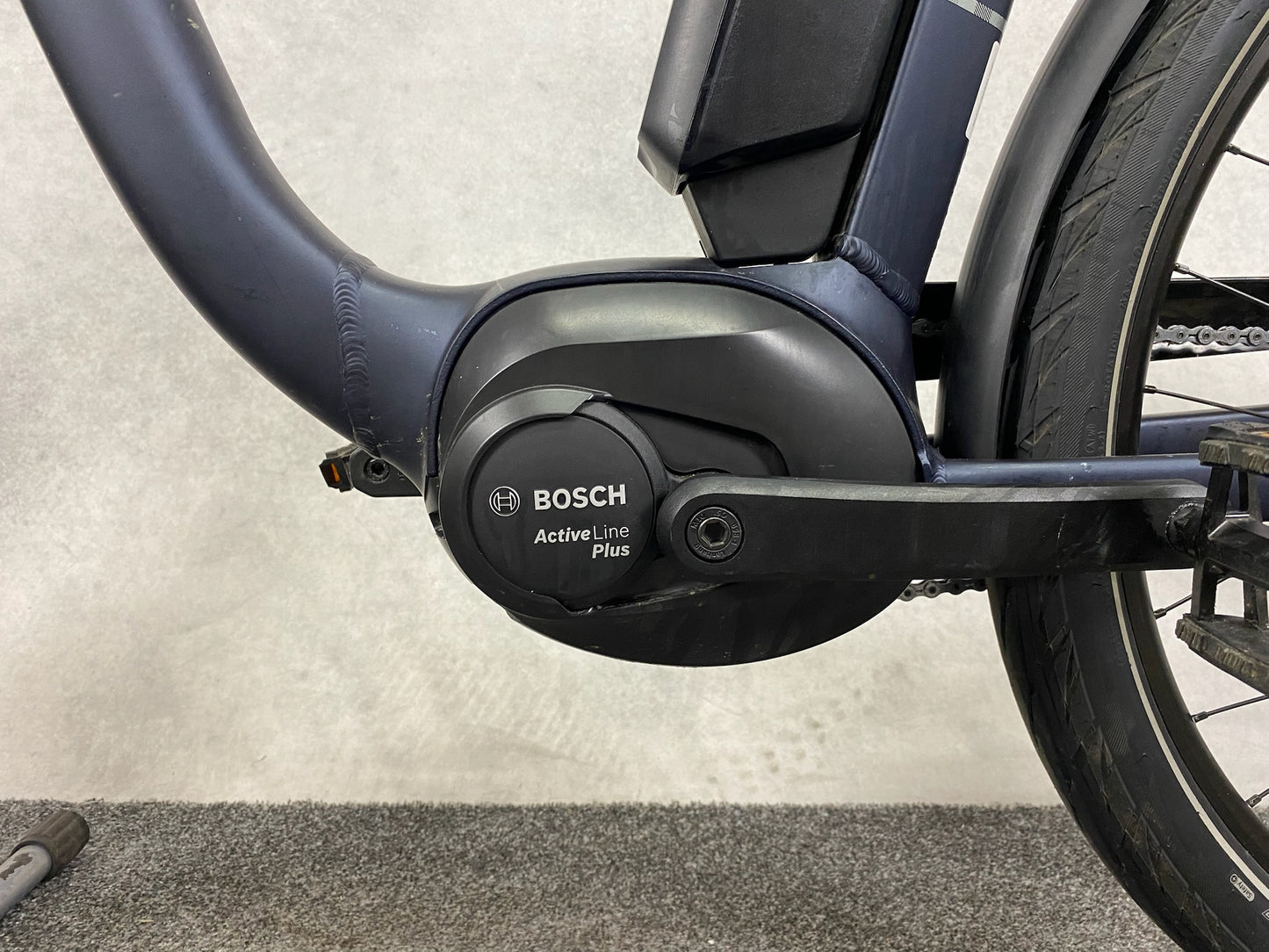 Raleigh Kingston 8