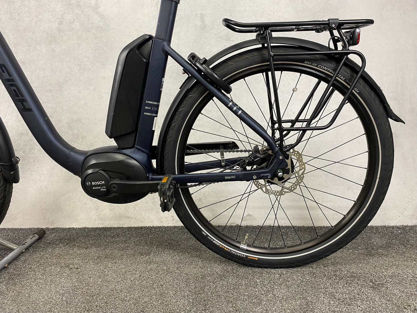 Raleigh Kingston 8