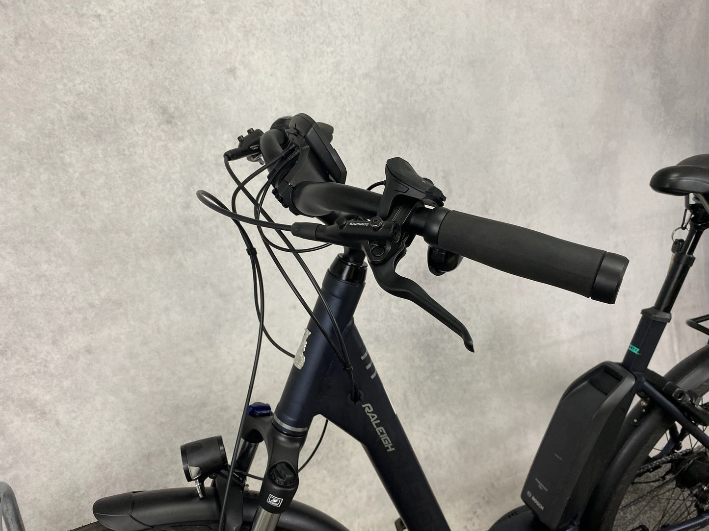 Raleigh Kingston 8