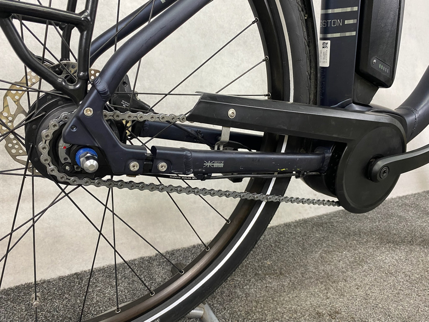 Raleigh Kingston 8