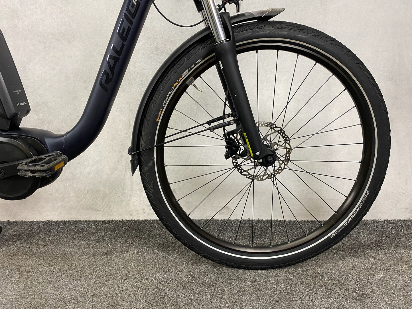 Raleigh Kingston 8