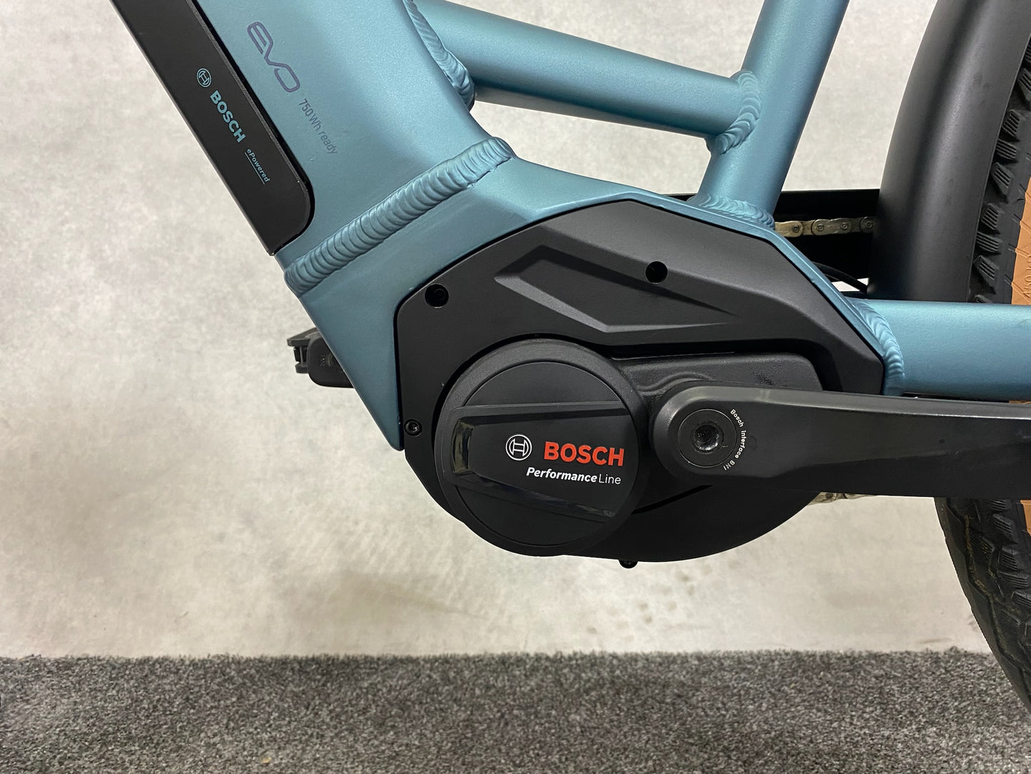 Pegasus Premio Evo 5F