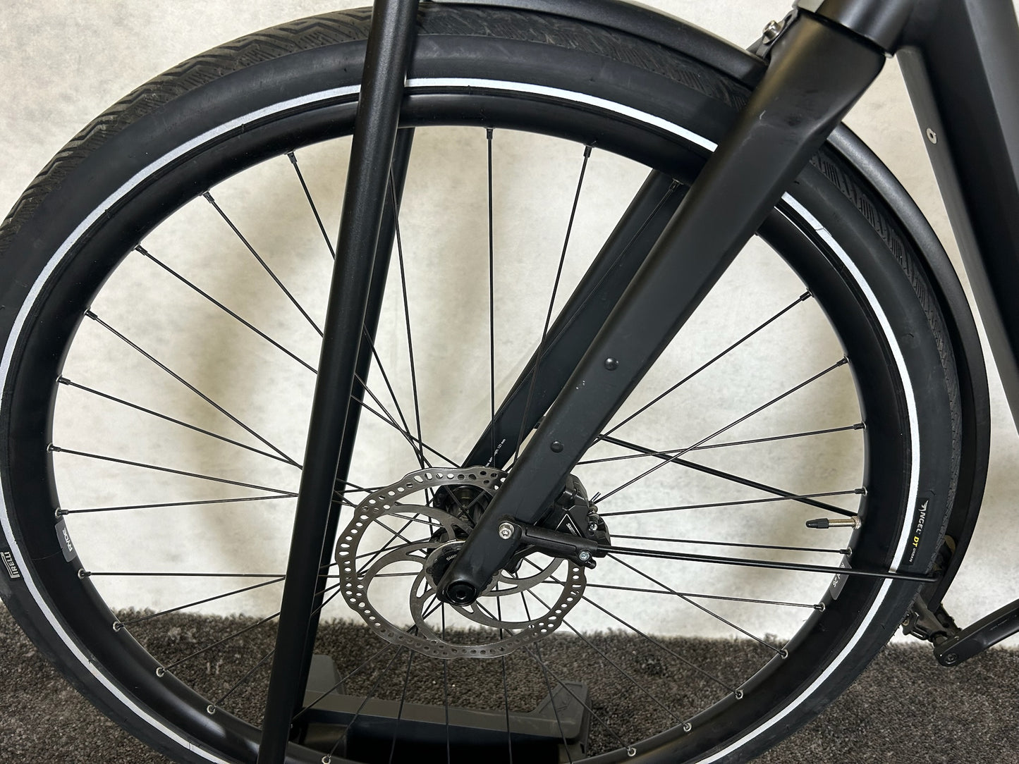 Rose Bikes Sneak + EQ