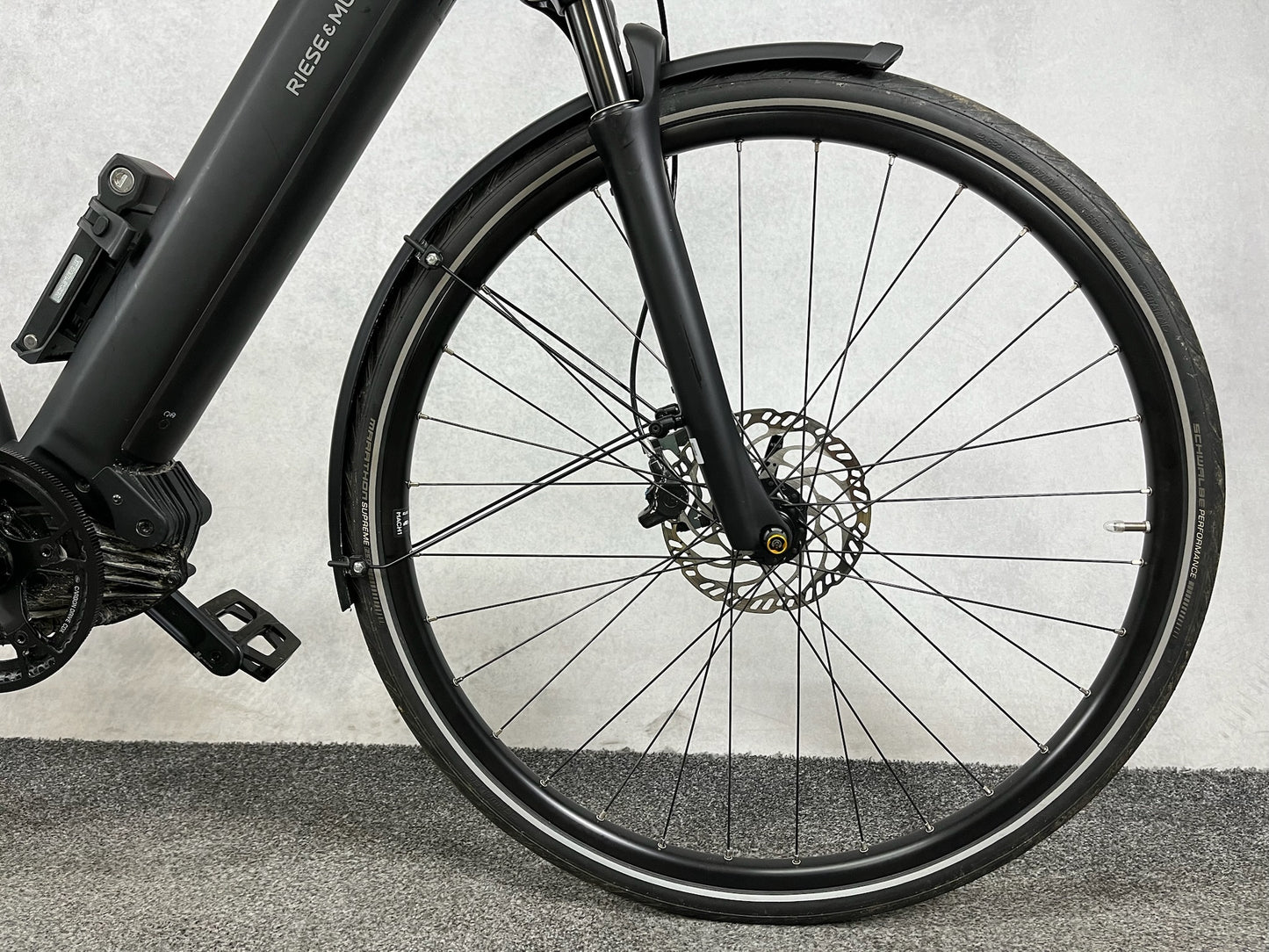 Riese und Müller Roadster4 Vario