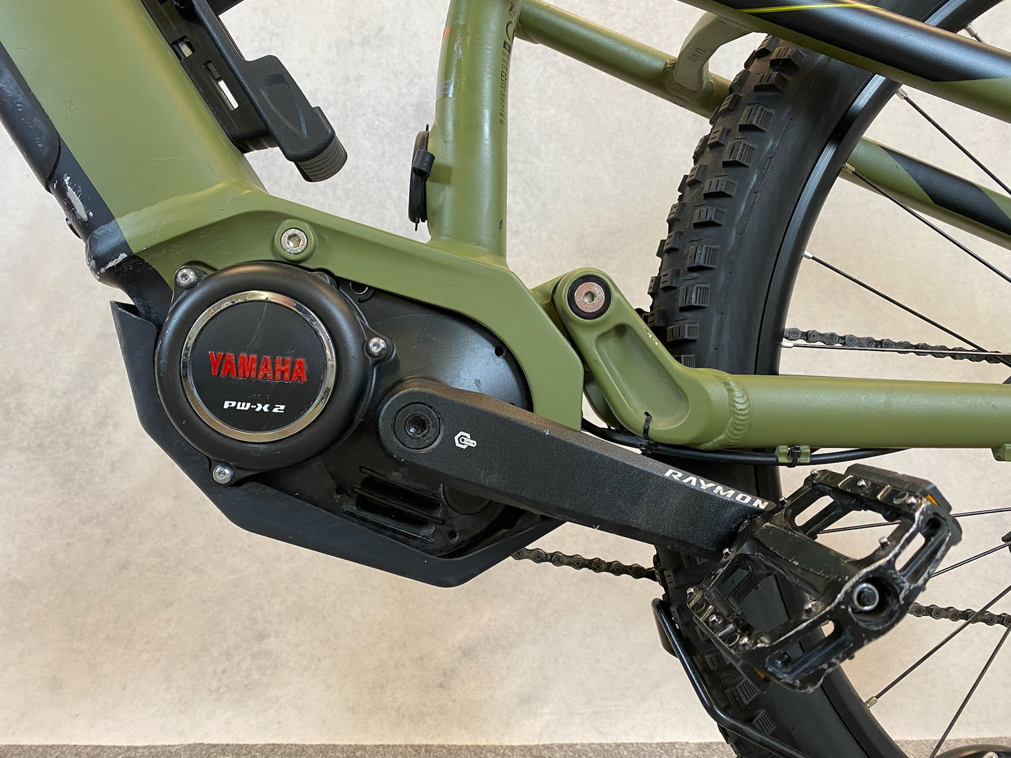 Raymon TrailRay E 8.0