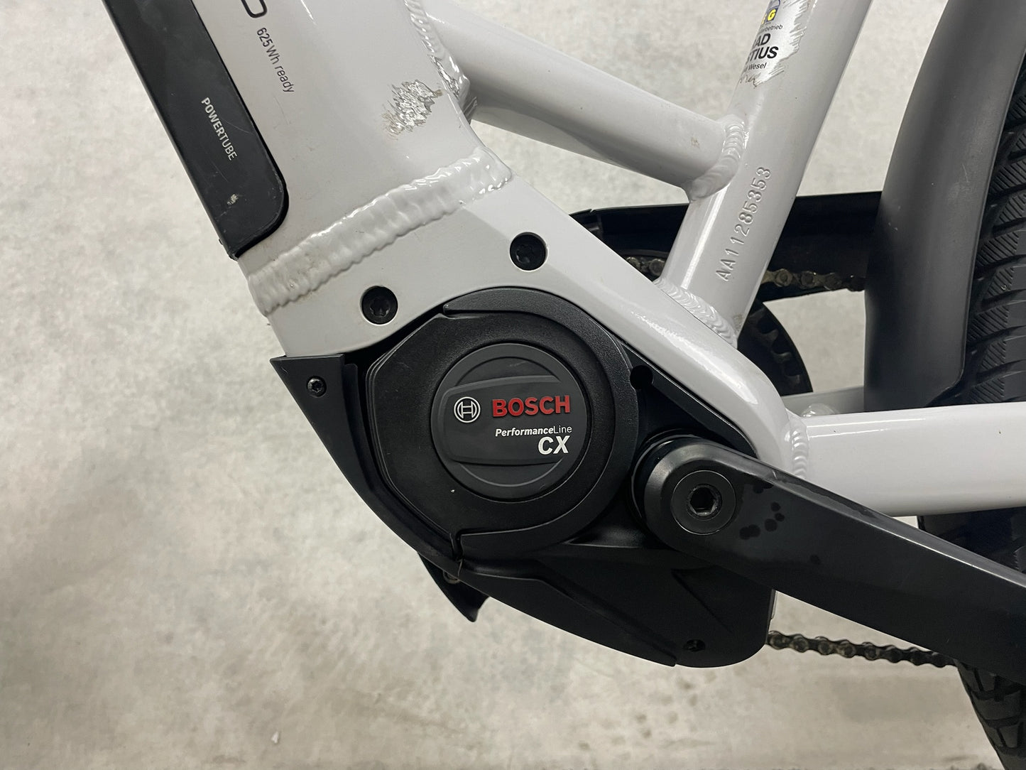 Pegasus Savino Evo 10