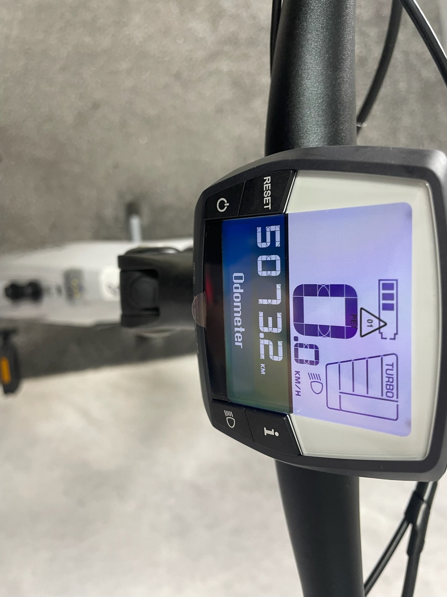 Pegasus Savino Evo 10