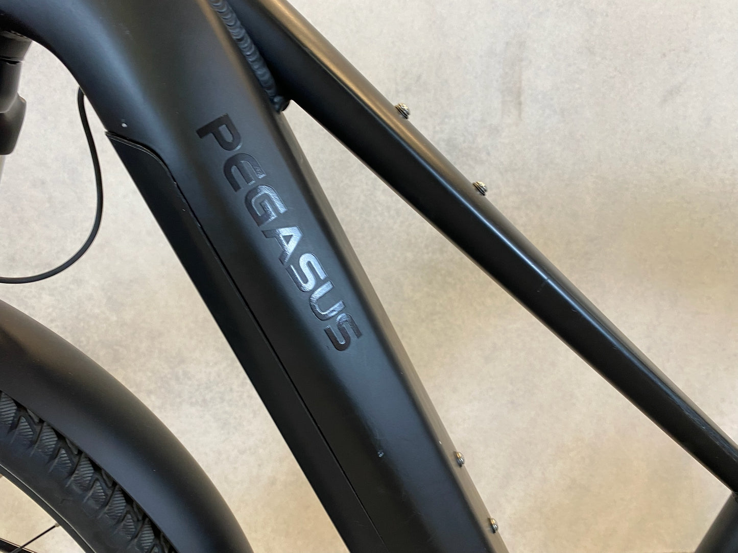 Pegasus Savino EVO 5R