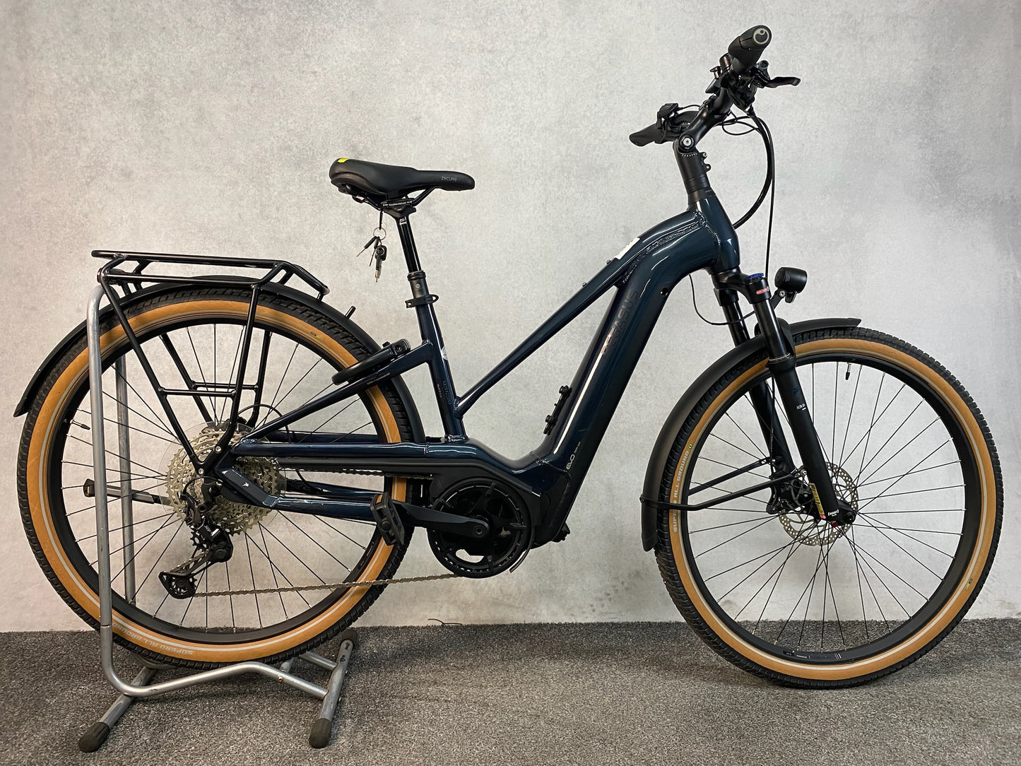 Pegasus Savino EVO 12