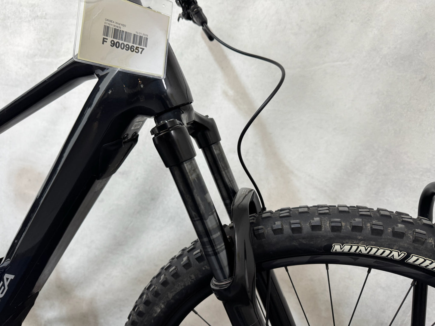 Orbea Wild H20