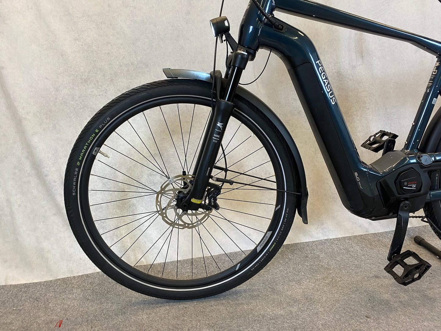 Pegasus Premio EVO11 "40Years"