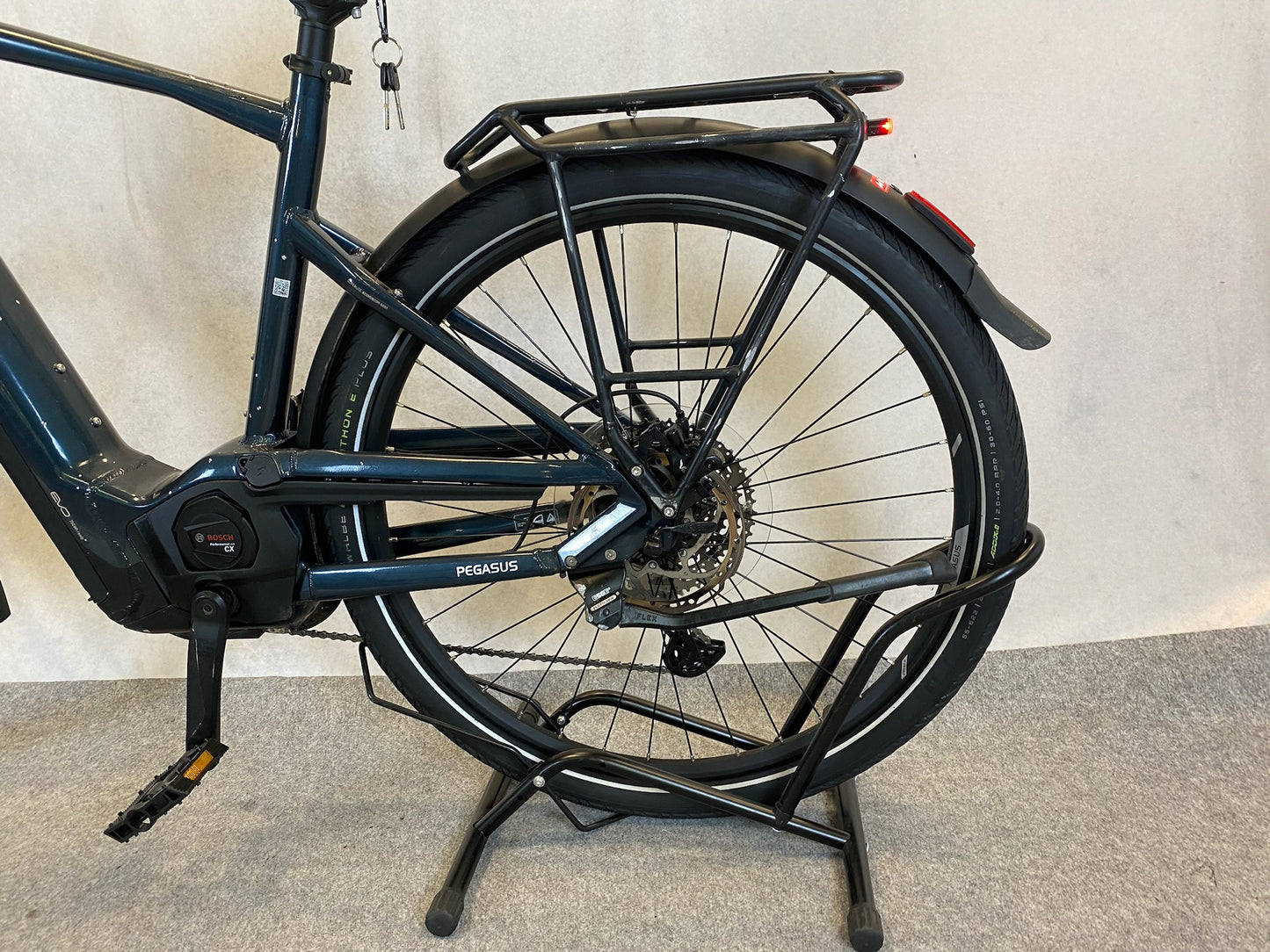 Pegasus Premio EVO11 "40Years"