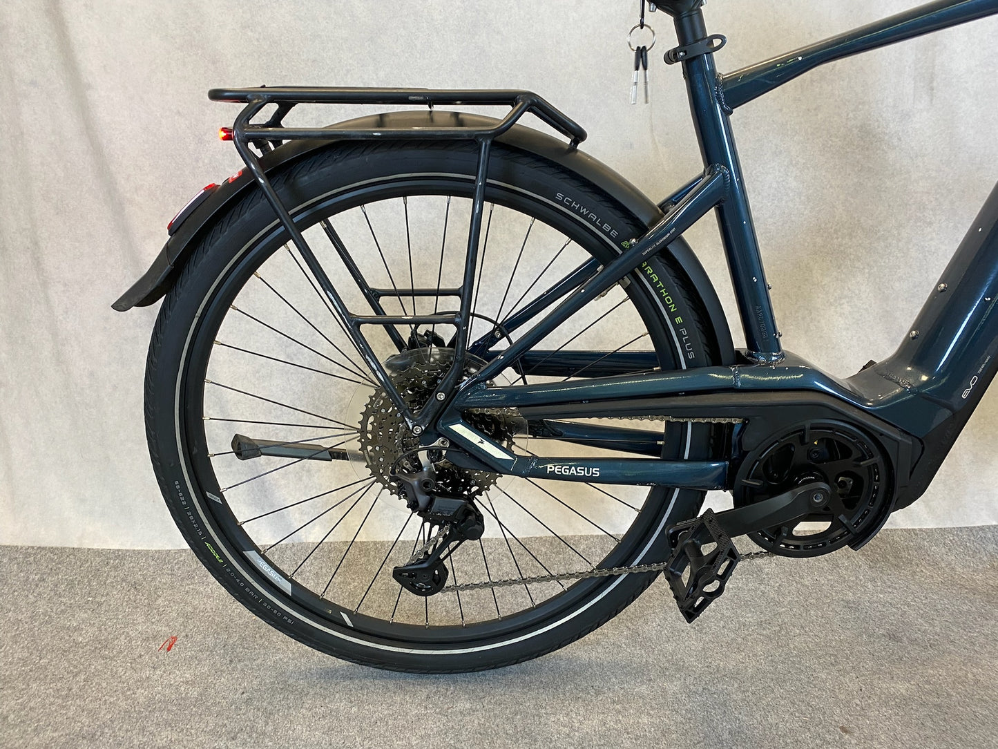 Pegasus Premio EVO11 "40Years"
