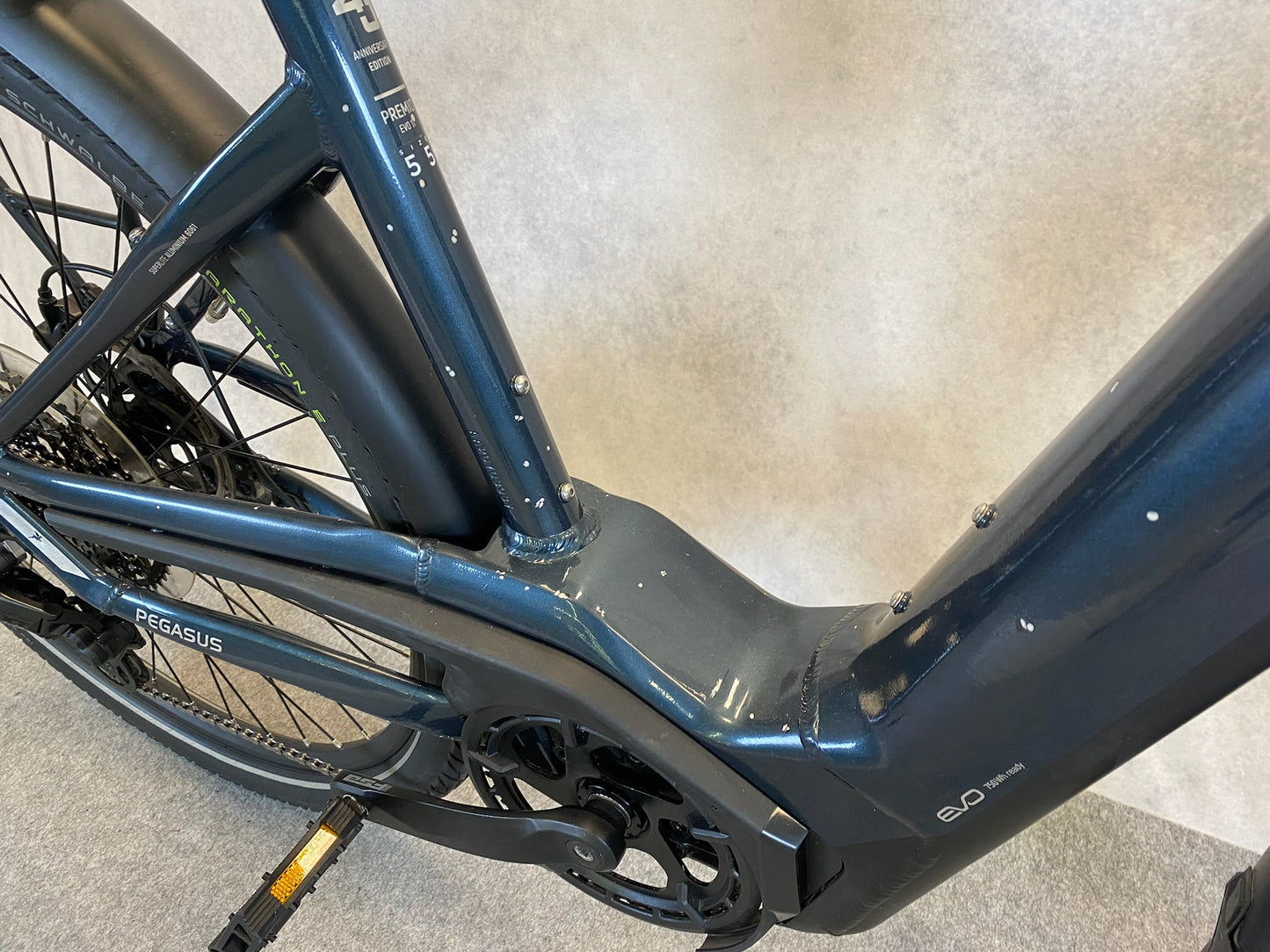 Pegasus Premio EVO11 "40Years"