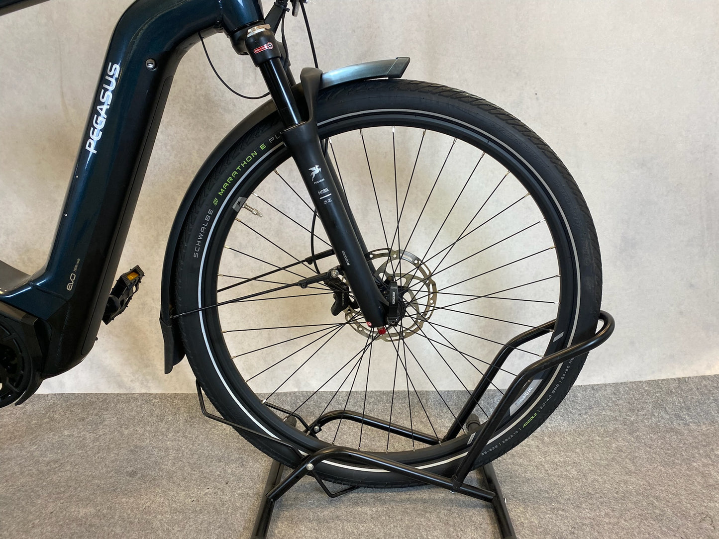 Pegasus Premio EVO11 "40Years"