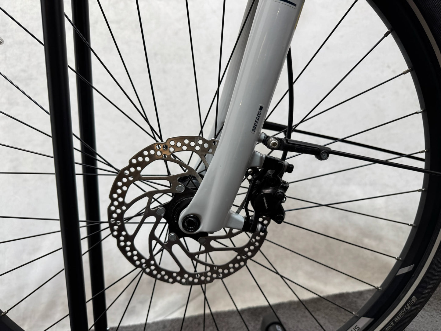 Pegasus Premio EVO 10 lite 750