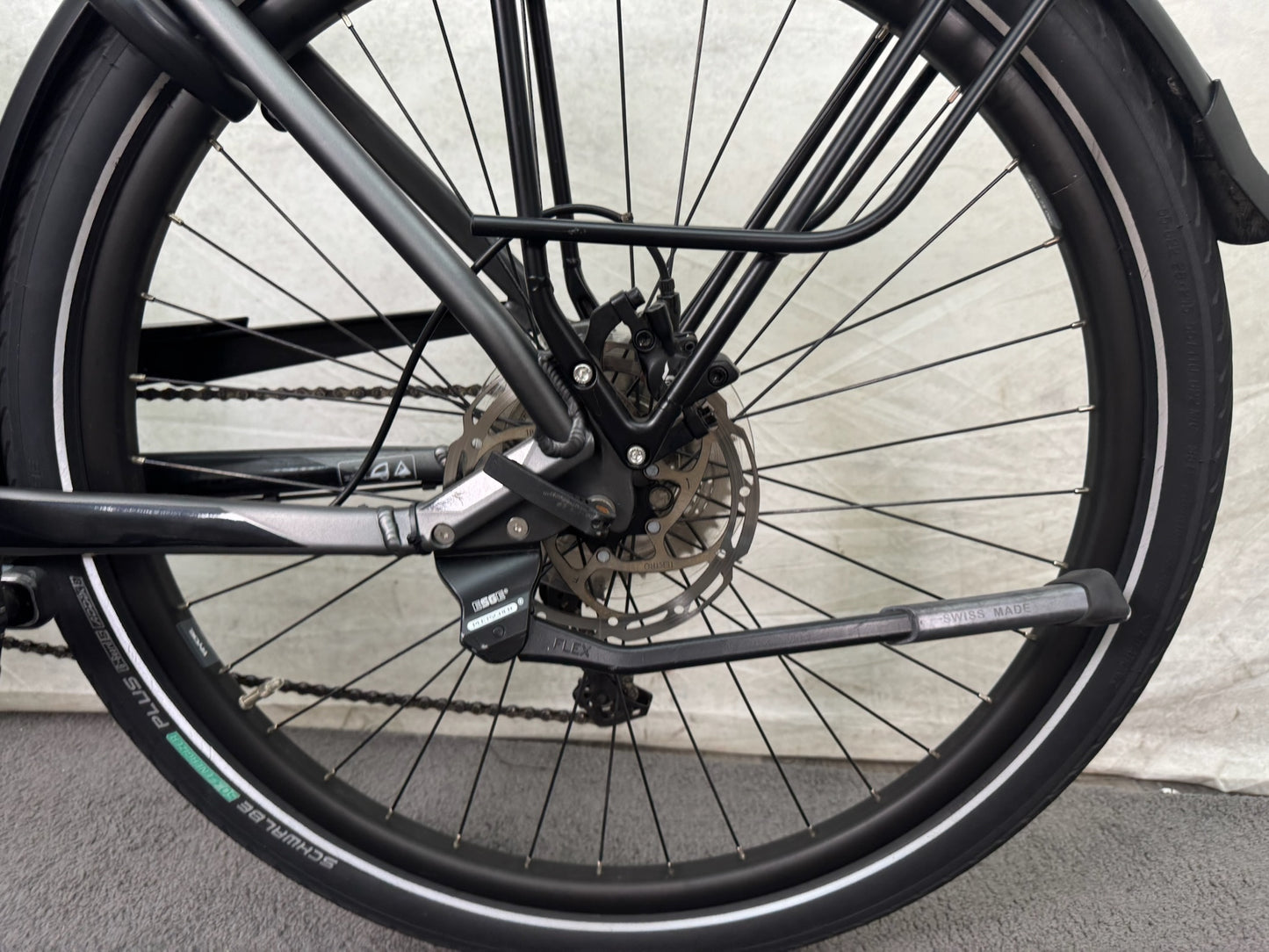 Pegasus Strong EVO 10