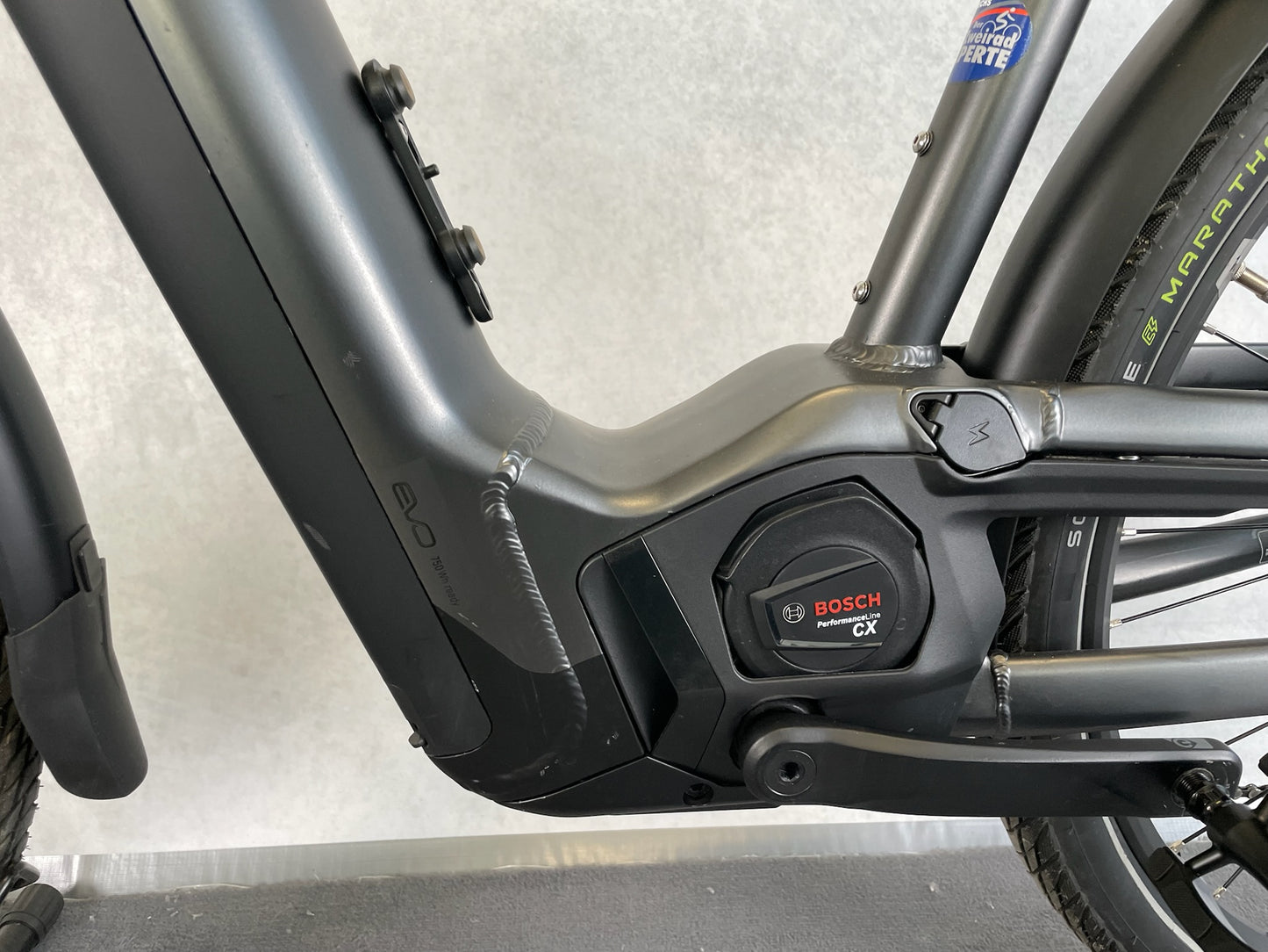 Pegasus Premio Evo 10 ABS
