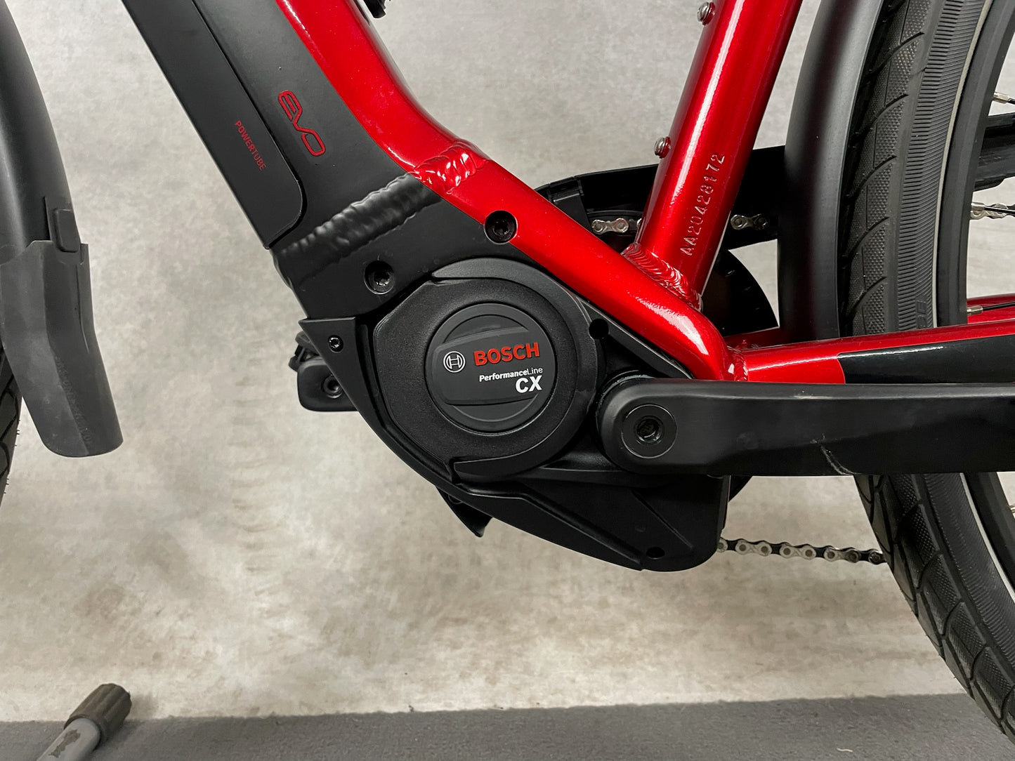 Pegasus Premio Evo lite 10