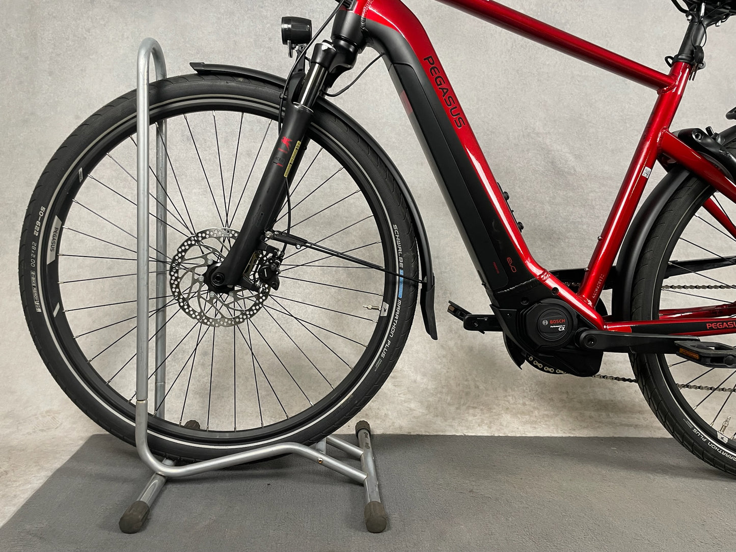 Pegasus Premio Evo lite 10