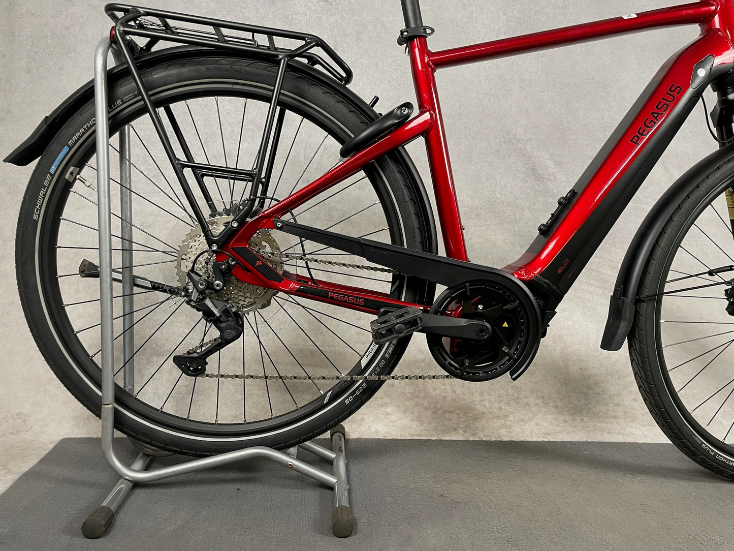 Pegasus Premio Evo lite 10