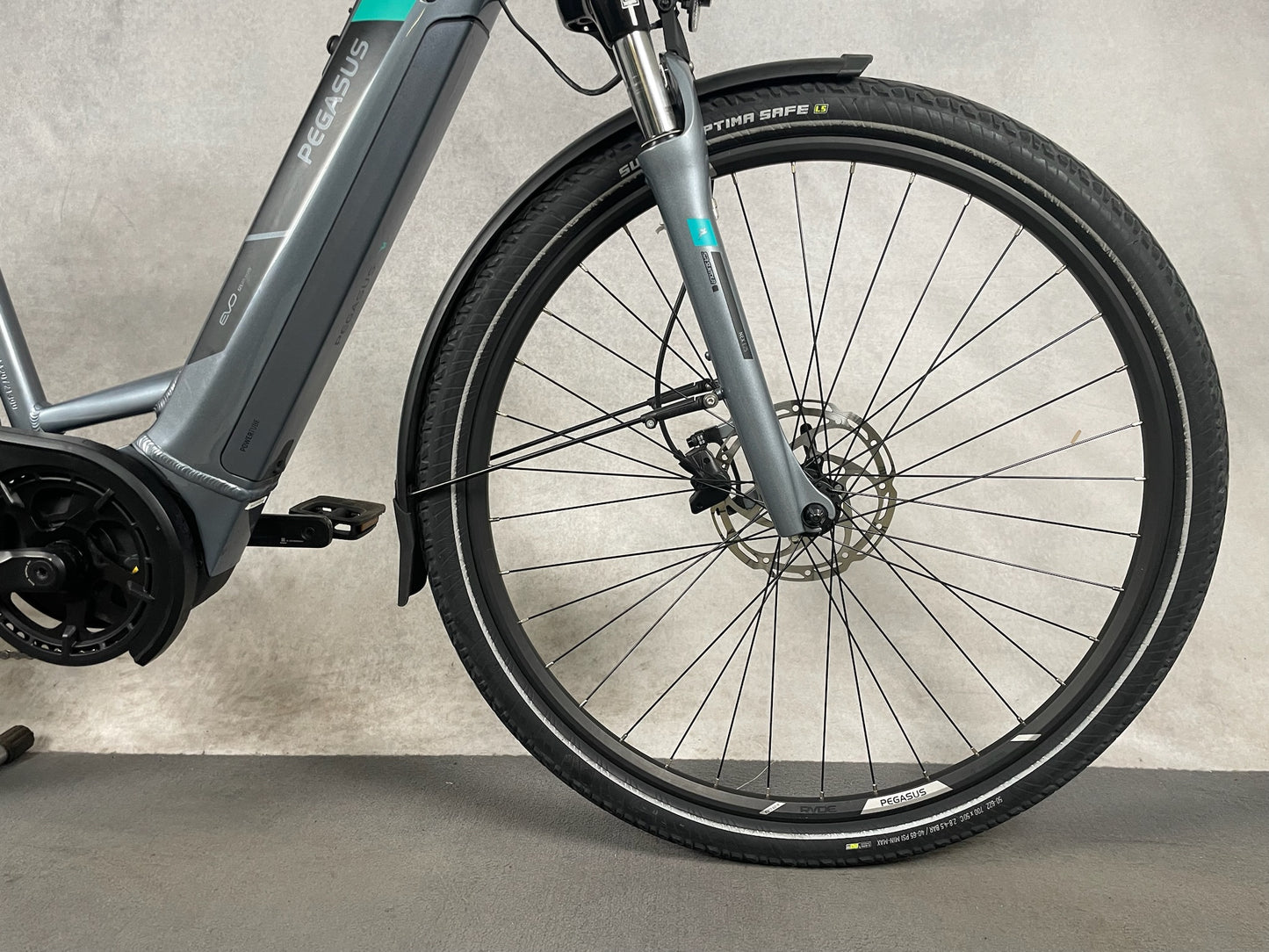 Pegasus Premio Evo 10