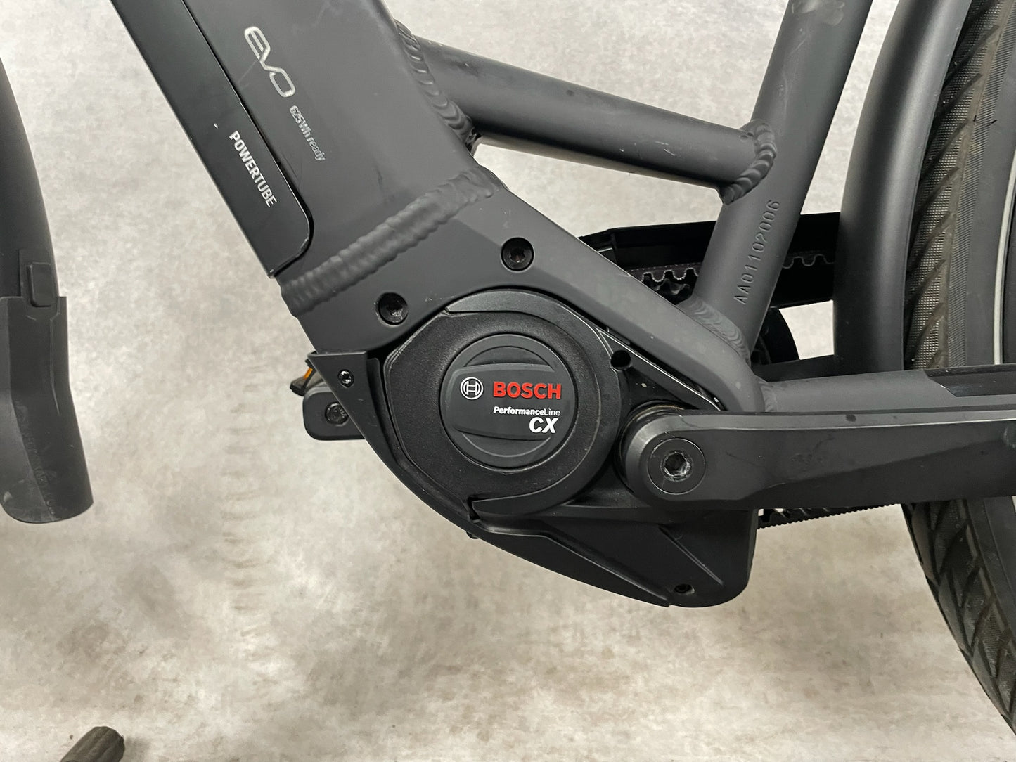 Pegasus Strong Evo 5 F Di2 Belt