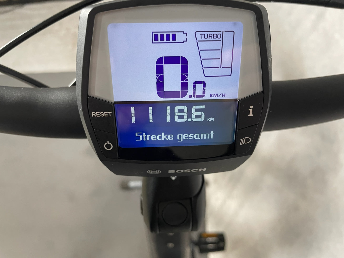 Pegasus Strong Evo 5 F Di2 Belt