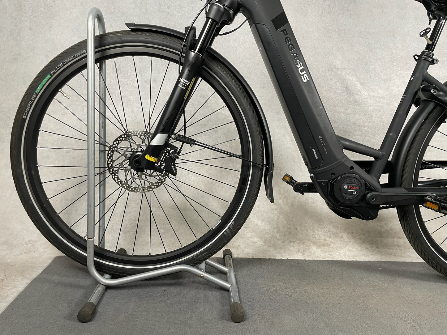 Pegasus Strong Evo 5 F Di2 Belt