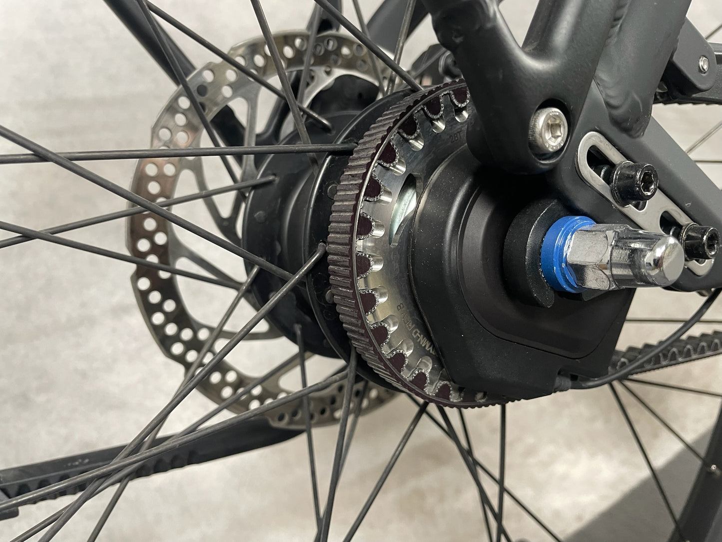 Pegasus Strong Evo 5 F Di2 Belt