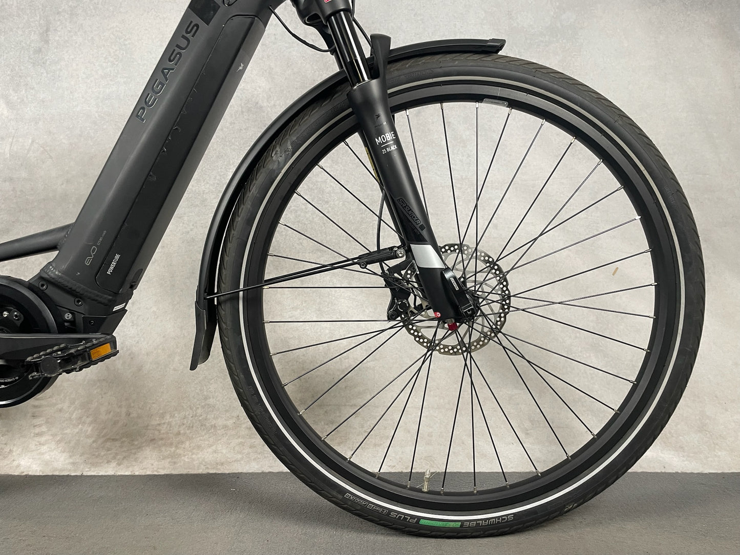 Pegasus Strong Evo 5 F Di2 Belt