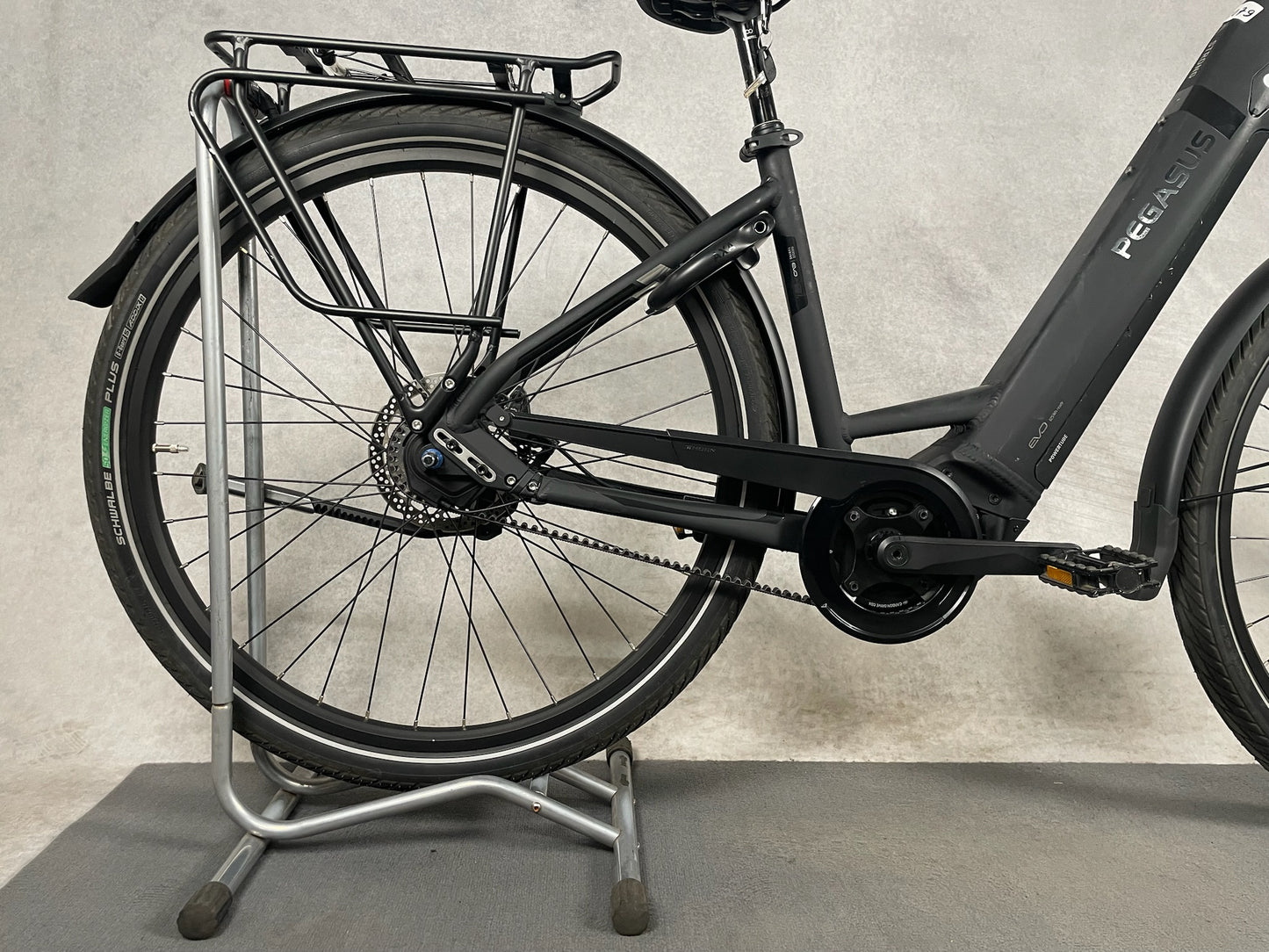 Pegasus Strong Evo 5 F Di2 Belt