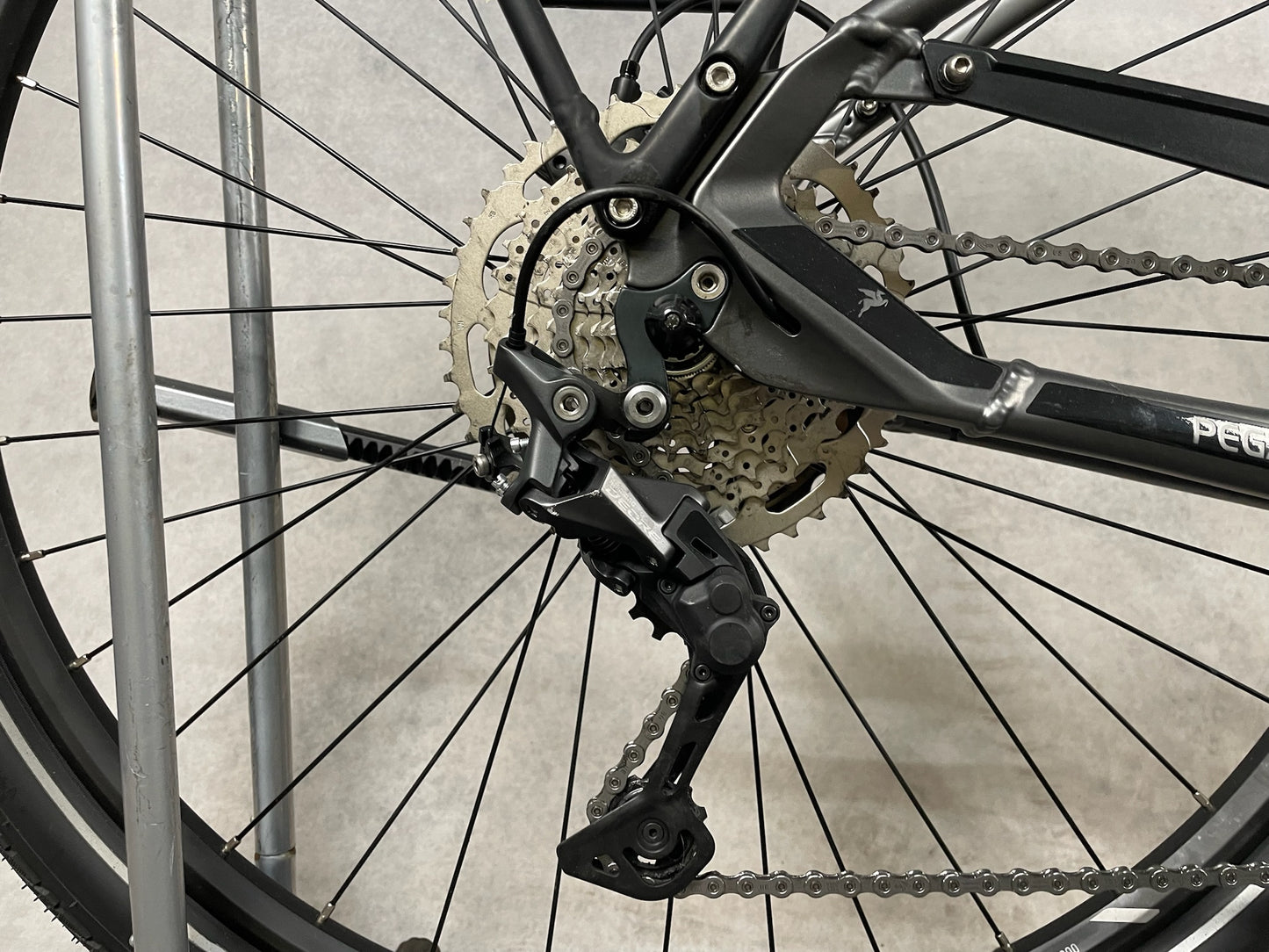 Pegasus Premio Evo 10 Lite Comf