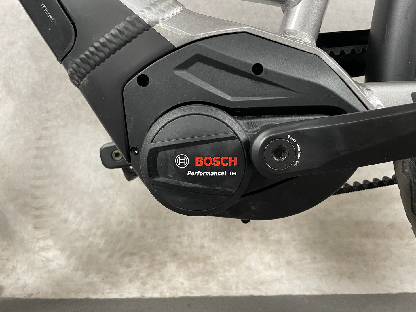 Pegasus Premio Evo 5R Belt Pegaus