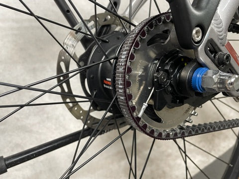 Pegasus Premio Evo 5R Belt Pegaus