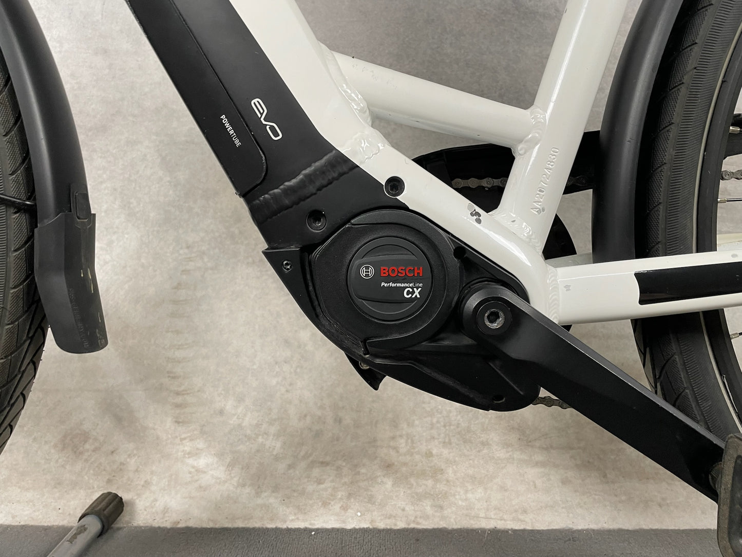 Pegasus Premio EVO 10 Lite Ev28