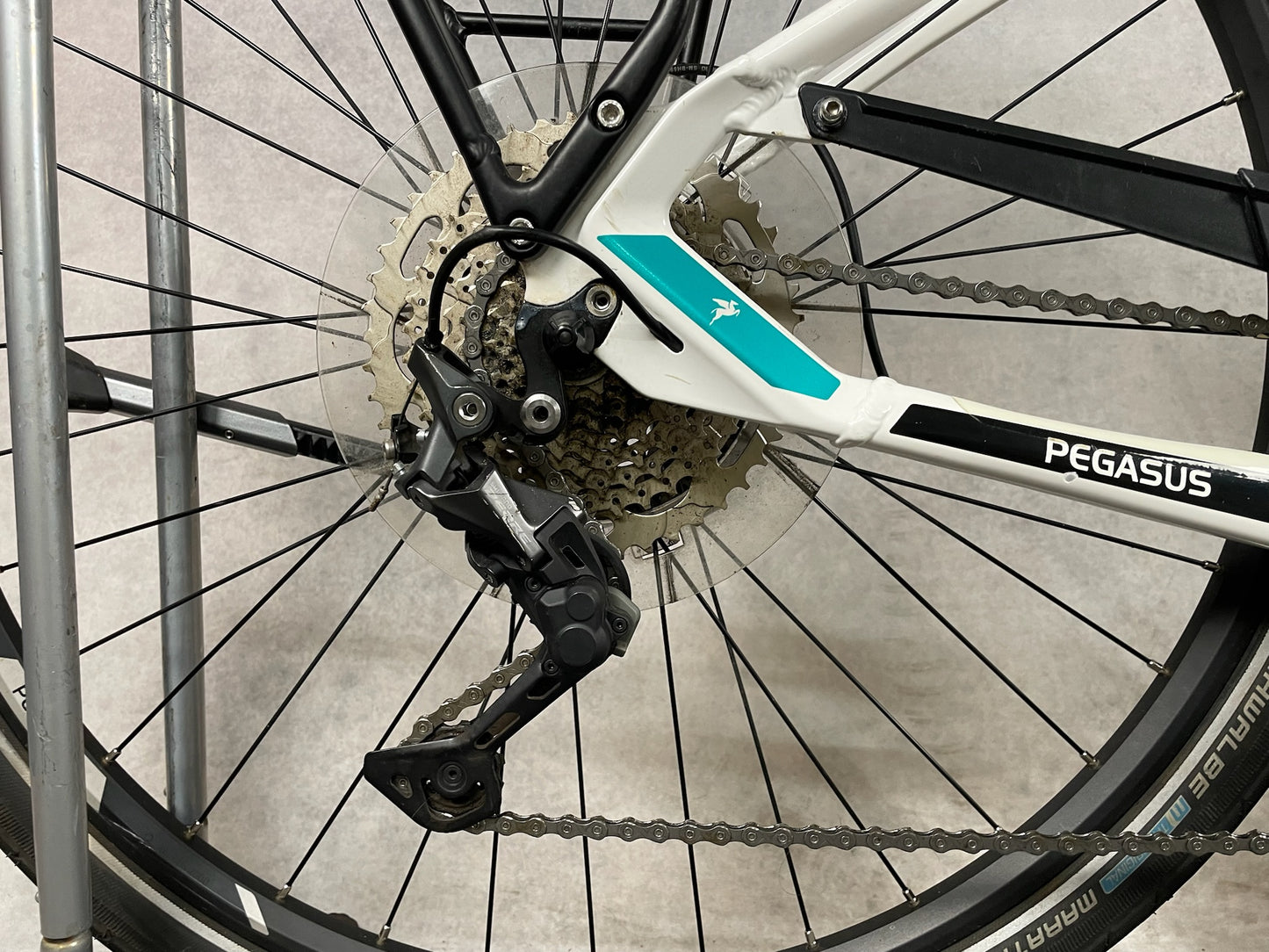 Pegasus Premio EVO 10 Lite Ev28