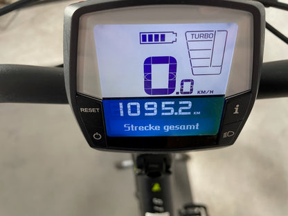Bulls Street CX 500