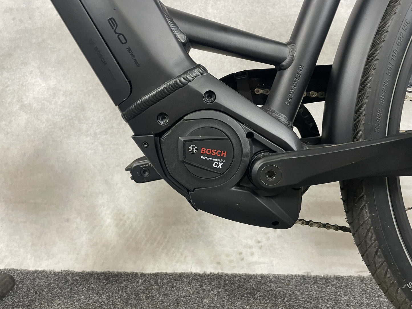 Pegasus Premio Evo 10 Lite Damen