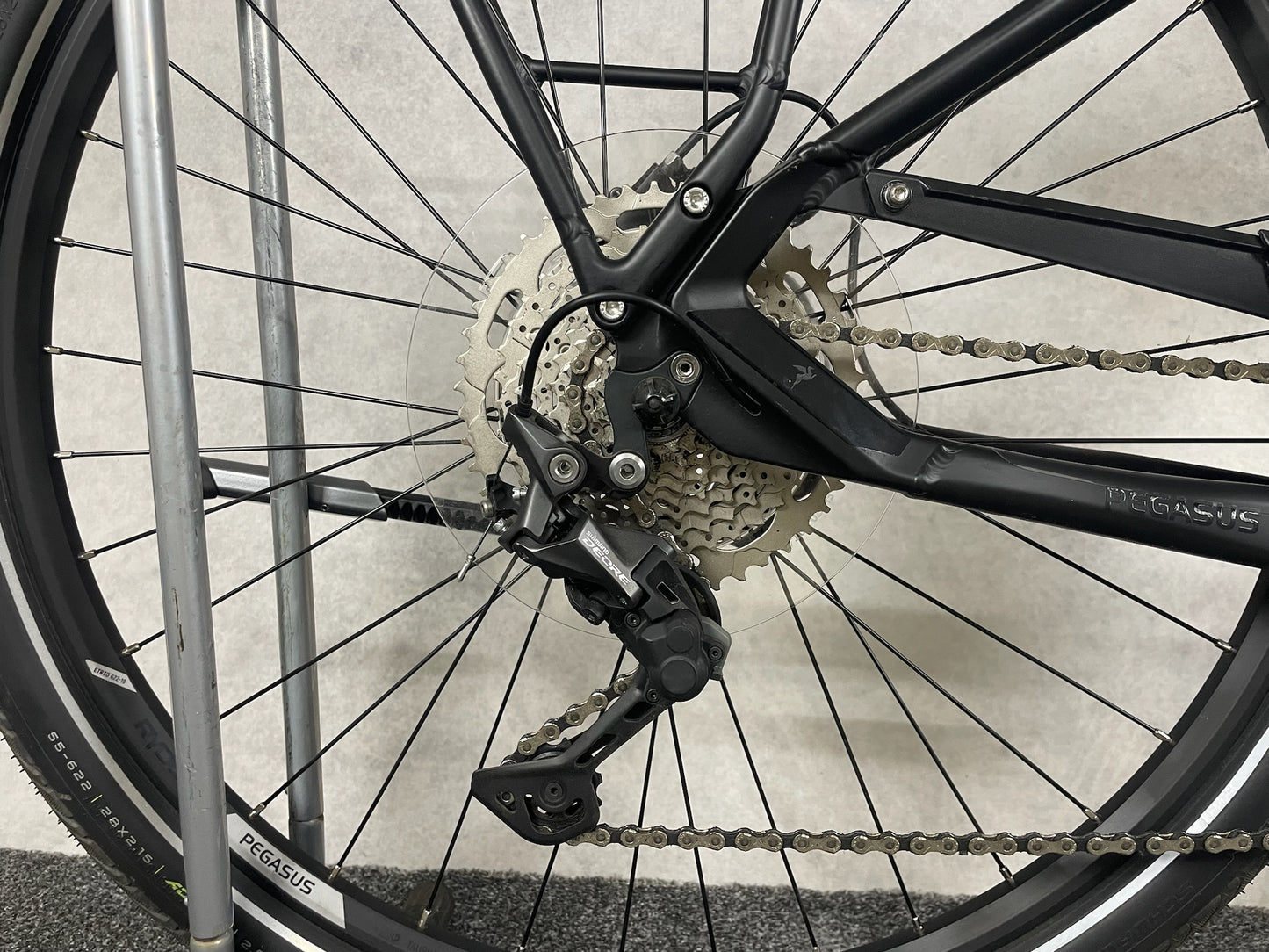 Pegasus Premio Evo 10 Lite Damen