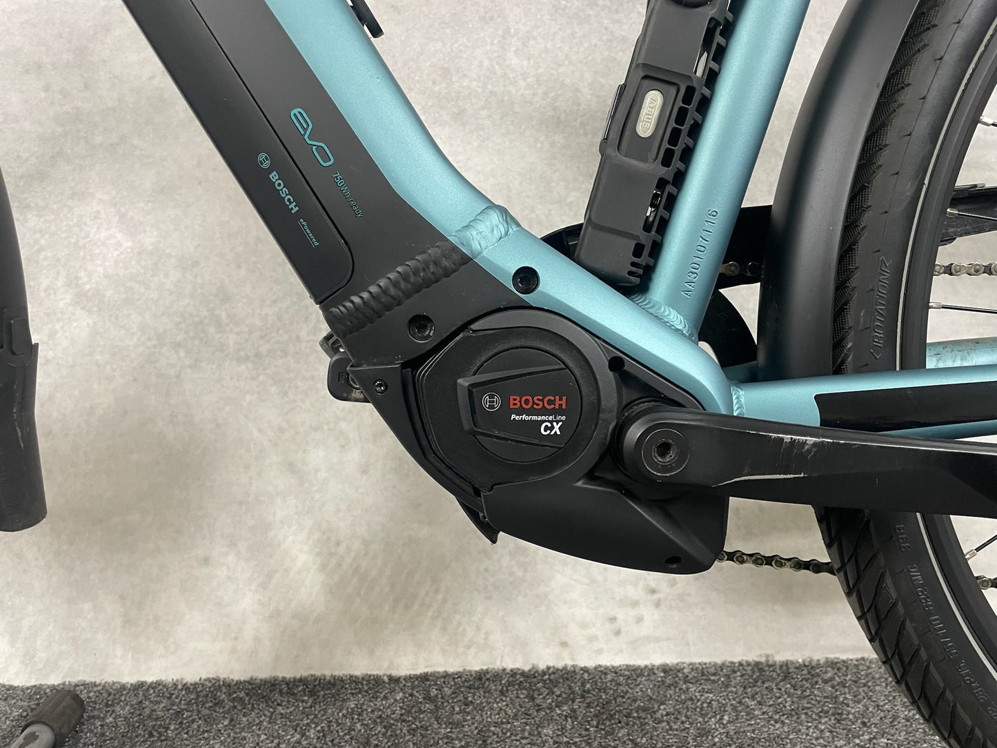 Pegasus Premio Evo 10