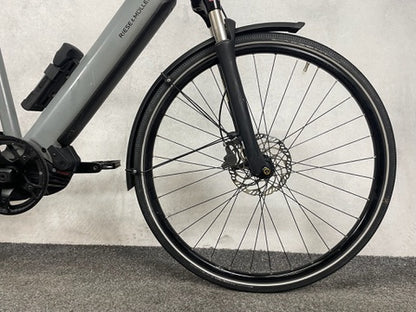 Riese & Müller Roadster vario