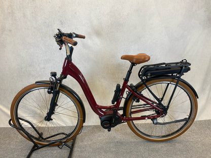 Riese & Müller Swing