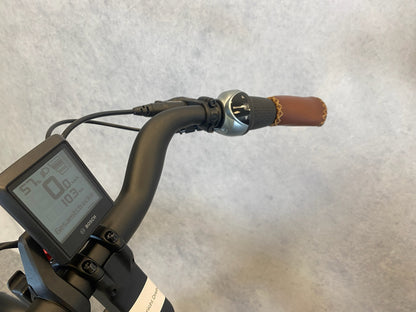 Riese & Müller Swing